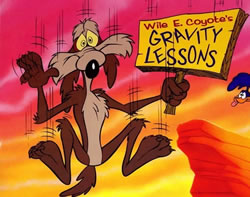 Wile E Coyote. Image credit: looneytunes.wikia.com.
