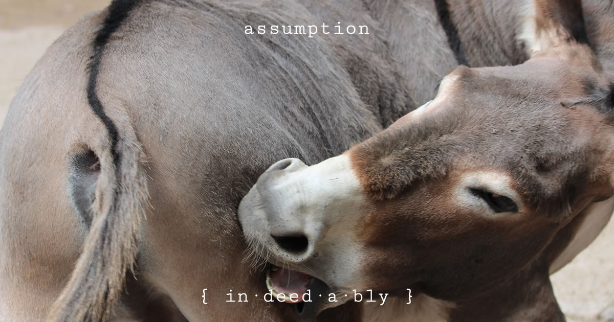 Assumption. Image credit: Ajdam.