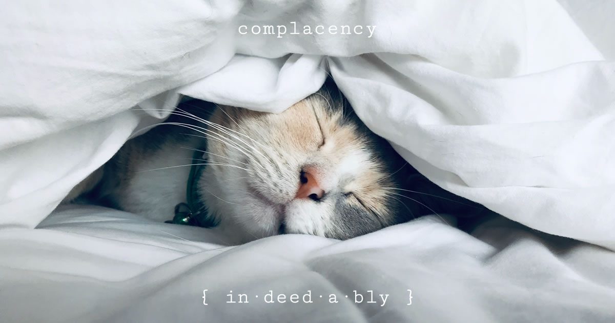 Complacency. Image credit: Kate Stone Matheson.