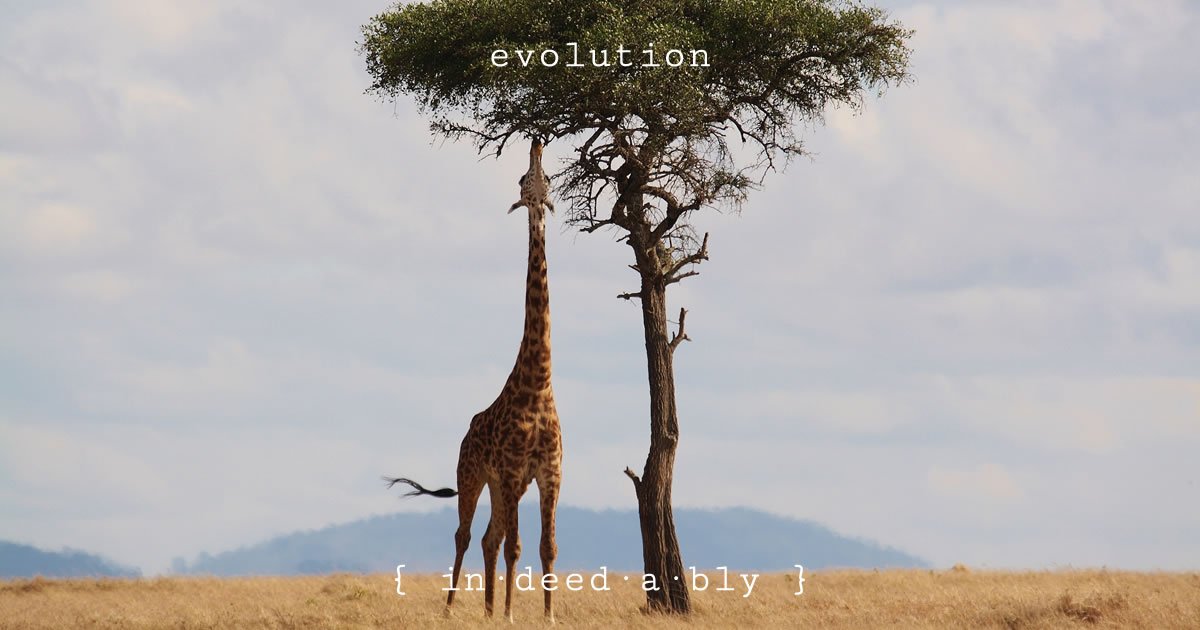 Evolution. Image credit: HowardWilks.