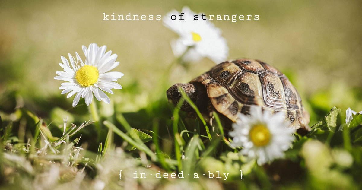 Kindness of strangers. Image credit: Sindy Strife.