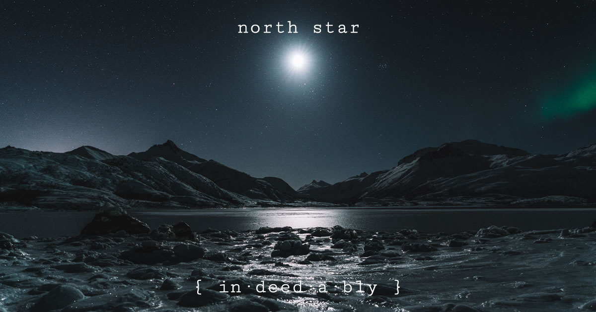 North star. Image credit: Federico Di Dio.