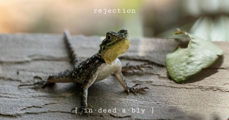 Rejection. Image credit: herbert2512.